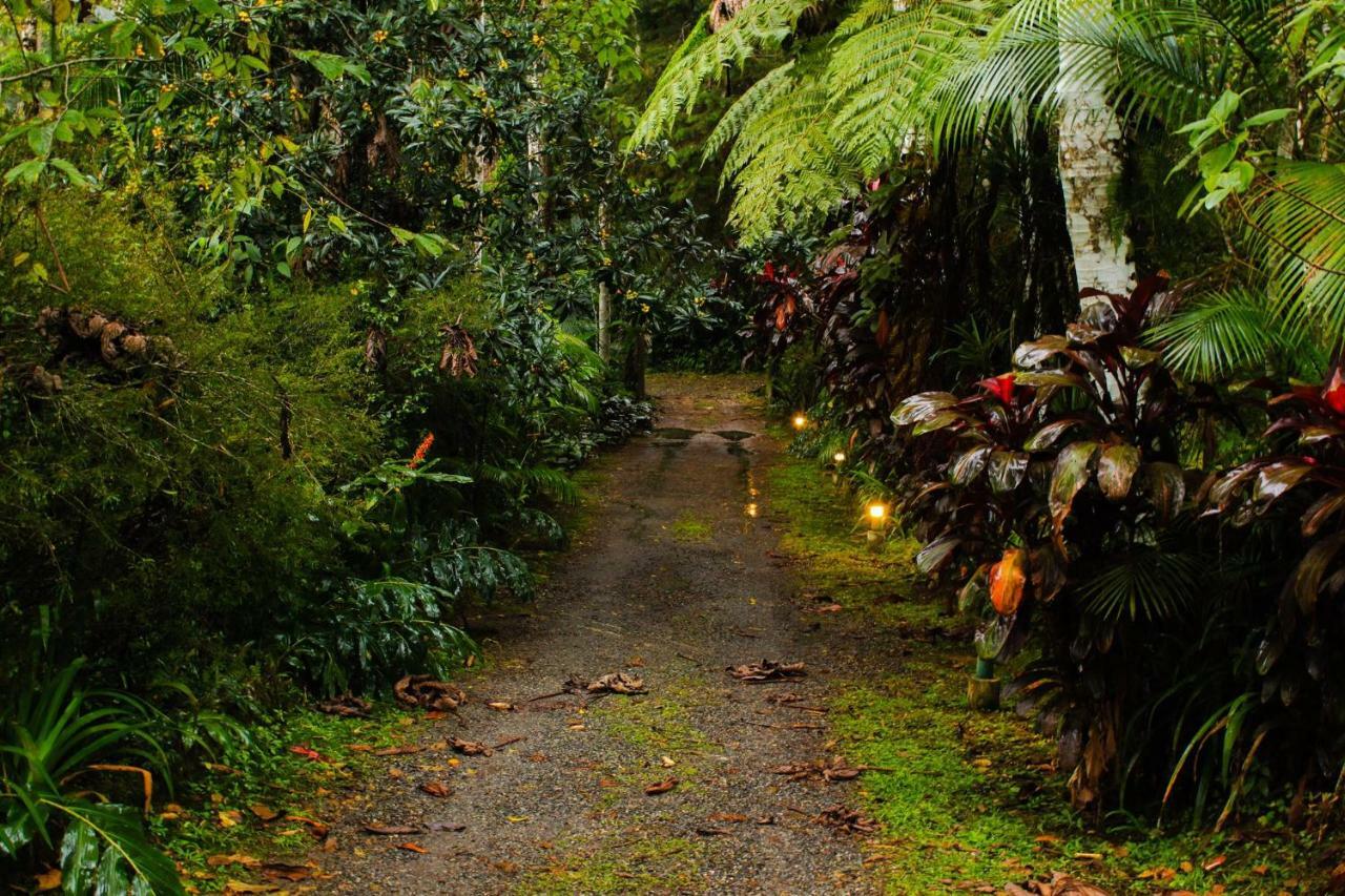 Quarto Varanda - Residencia Gaia Itatiaia Itatiaia  Εξωτερικό φωτογραφία